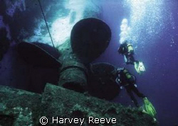 zenobia by Harvey Reeve 